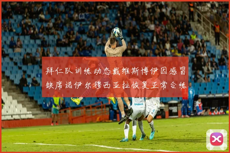 拜仁队训练动态戴维斯博伊因感冒缺席诺伊尔穆西亚拉恢复正常合练